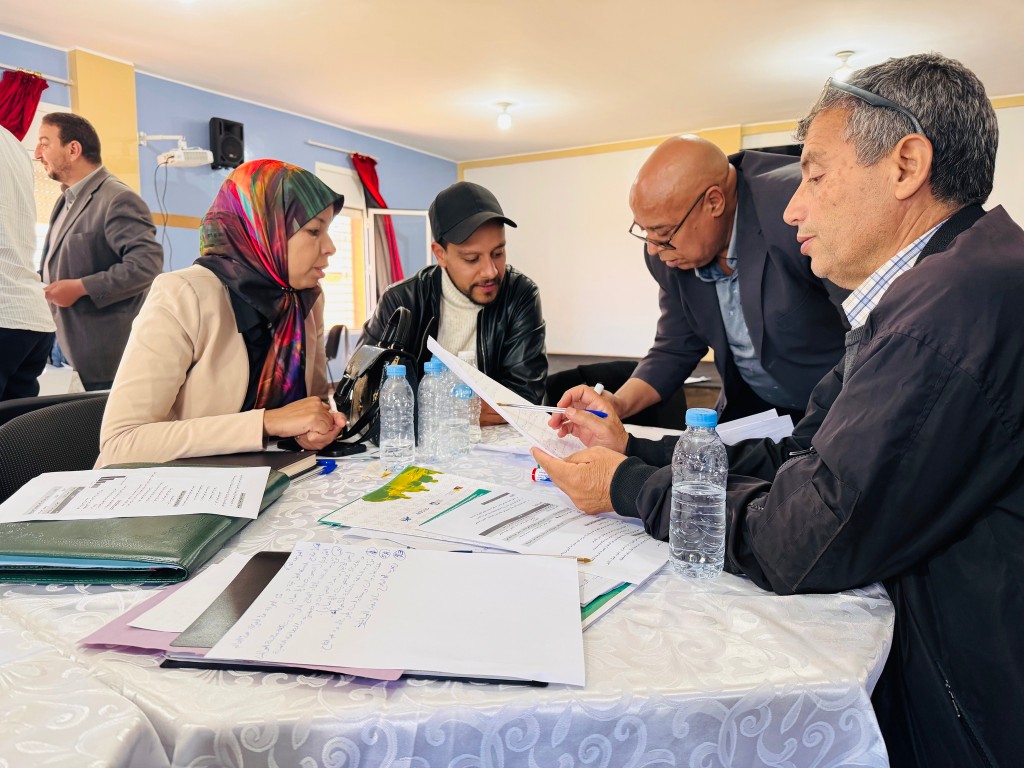 Document and results review — harmonising methodology at territorial level