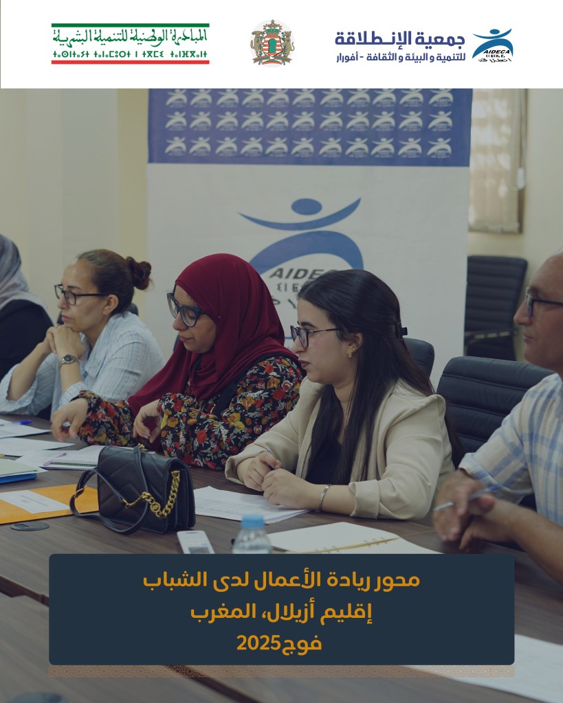 Results and Outcomes of the Pre-Creation Entrepreneurship Pathway for Youth Project Idea Holders in Azilal Province