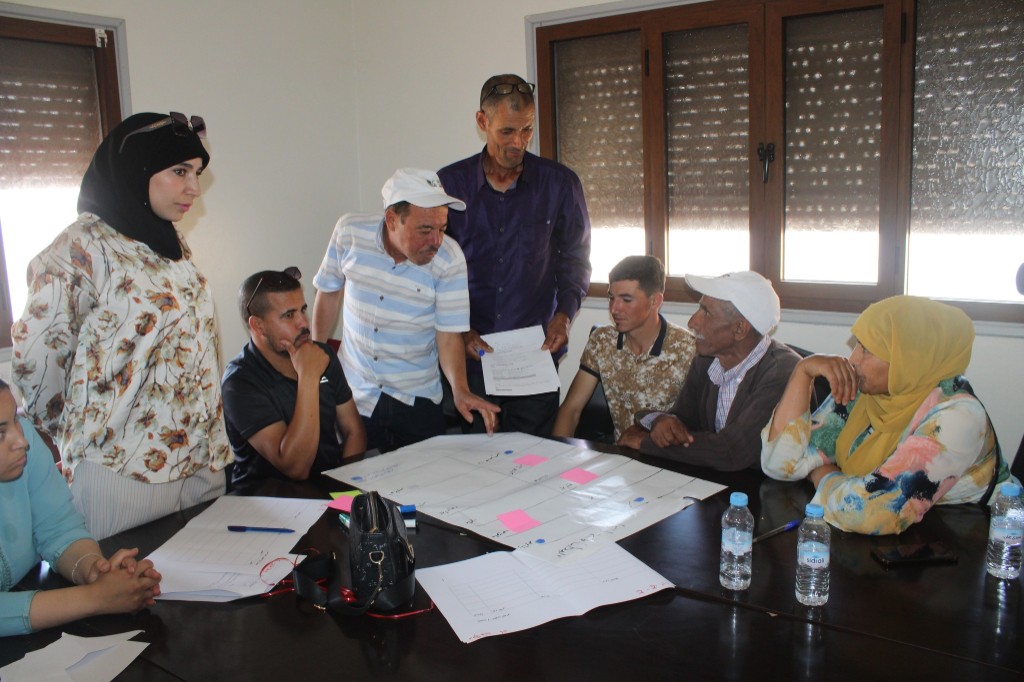 Participatory diagnostic workshop — mapping and identifying local challenges