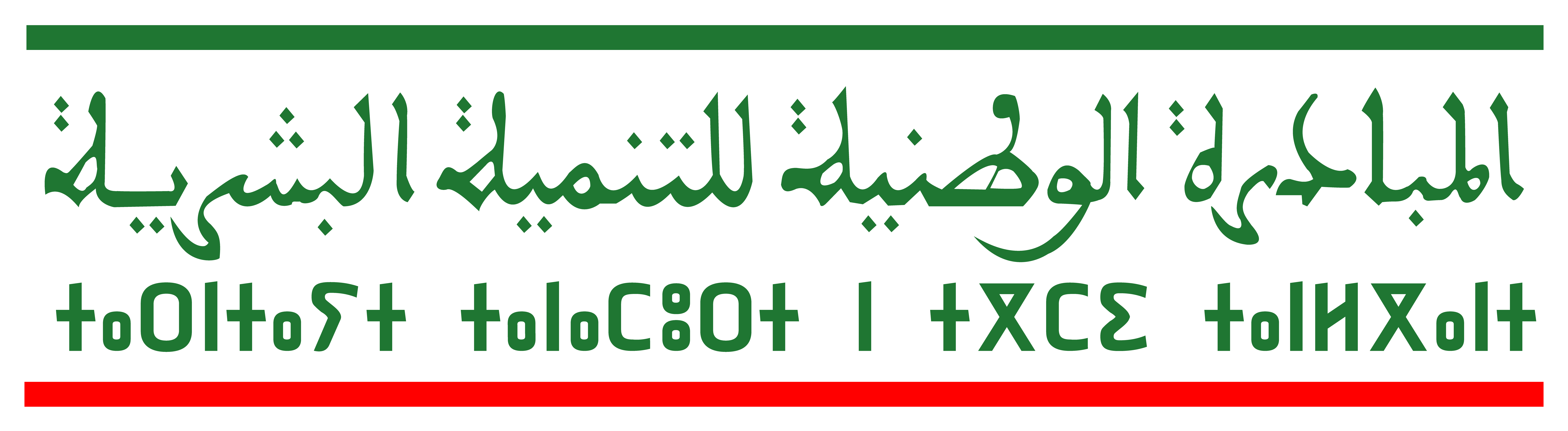 Division de l'Action Social Azilal